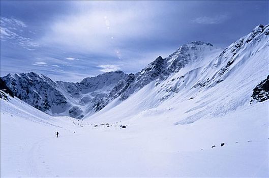 小,滑雪,雪,宽,高,高山,山谷,提洛尔,奥地利,欧洲