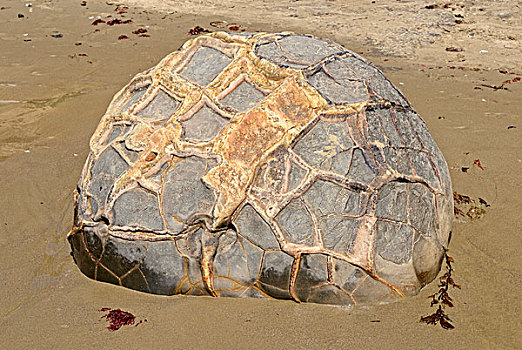漂石,结构,表面,沙,海滩,莫拉基圆石,地质,石头,排列,东海岸,南岛,新西兰