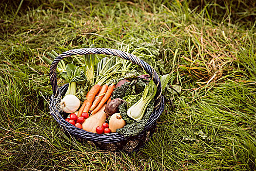 篮子,蔬菜,草,乡村
