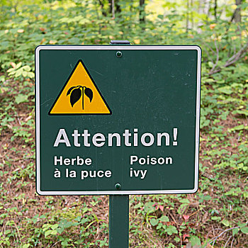 毒物,常春藤,警告标识,树林,国家,古迹,魁北克,加拿大