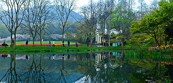 西湖郁金香,太子湾公园