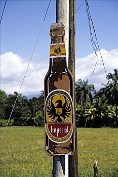 啤酒瓶,电线杆,广告,皇家,啤酒,靠近,哥斯达黎加,太平洋,中美洲