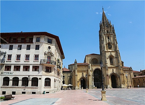 大教堂,圣萨尔瓦多,奥维耶多,首都,阿斯图里亚斯,西班牙