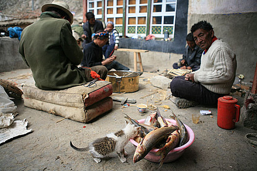 西藏俊巴村