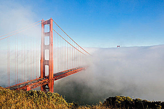 金门大桥,雾,旧金山,加利福尼亚,美国,北美