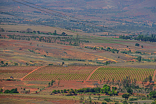 madagascar马达加斯加葡萄酒产地