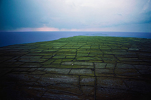 航拍,农田,干燥,石墙,爱尔兰