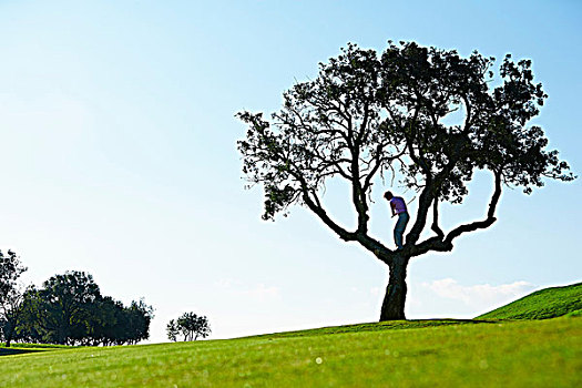 仰视,打高尔夫,站立,树上,高尔夫球杆