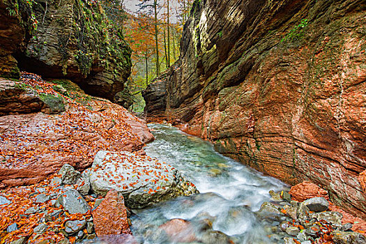 岩石构造,瀑布,萨尔茨堡,奥地利