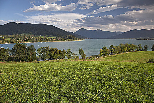 风景,泰根湖,靠近,上巴伐利亚,巴伐利亚,德国南部,德国