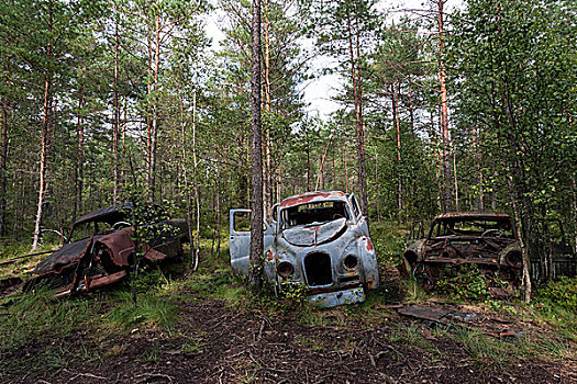 汽车,墓地,树林,废弃物,靠近,史马兰,瑞典,欧洲