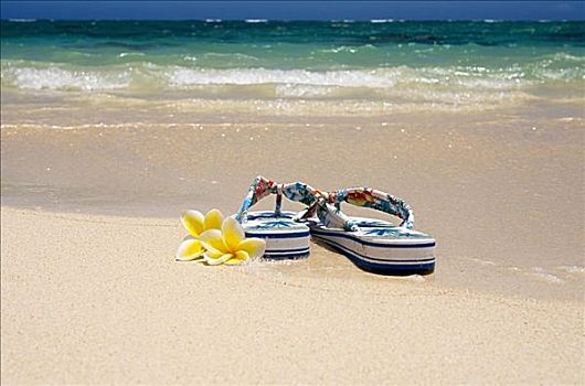 一对,夏威夷,风格,人字拖鞋,黄色,白色背景,沙滩,指向,青绿色,海洋