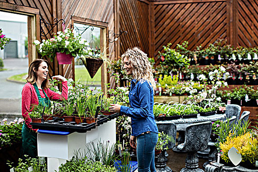 花商,交谈,女人,花卉商店,买,植物
