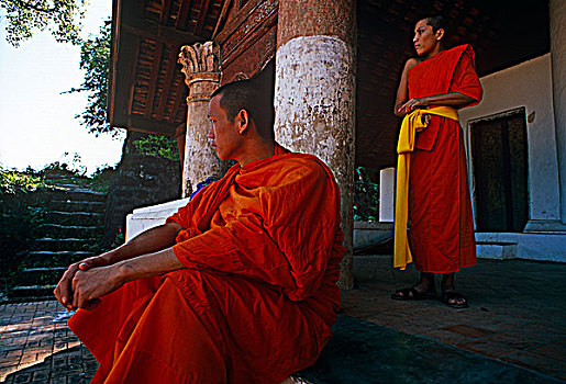 老挝,琅勃拉邦,省,僧侣,逗留,寺院,一个,许多,佛教