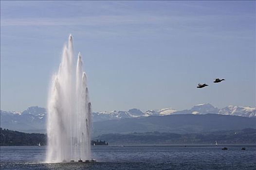 喷水池,苏黎世,湖,高山,全景,靠近,瑞士