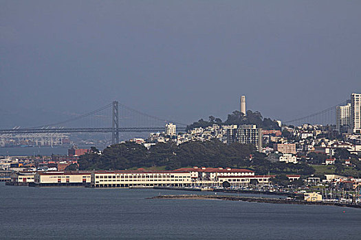 旧金山,加利福尼亚,展示,堡垒,石砌,科伊特塔,电报,山,海湾大桥,远景