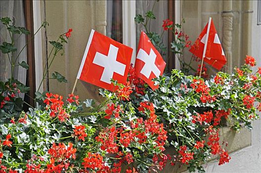瑞士,旗帜,花,盒子,窗,阿尔皋,欧洲