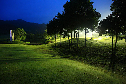 夜景,灯光,树影