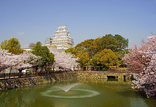 姬路城堡,春天,兵库,日本