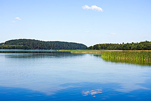 湖,国家公园,波兰,欧洲