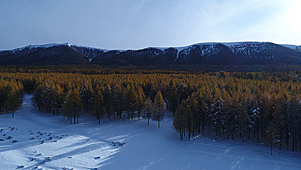 东天山雪景美如画