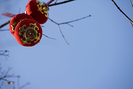 北京春节庙会上的红灯笼