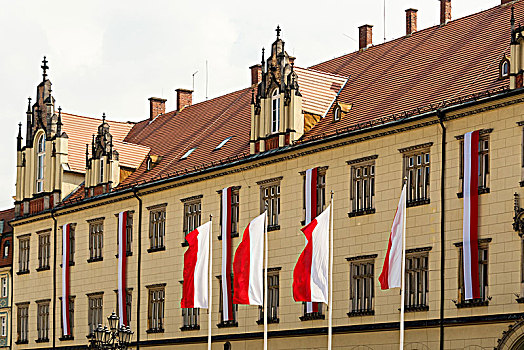 波兰,弗罗茨瓦夫,老城,市政厅,旗帜