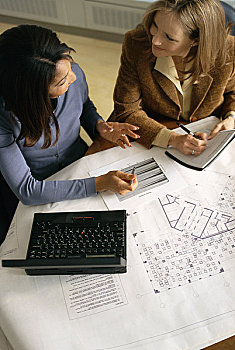 职业女性,会面,笔记本电脑,平面布置图