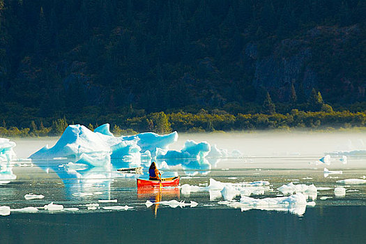 女性,独木舟浆手,短桨,冰山,晨雾,湖,奇奈峡湾国家公园,肯奈半岛,阿拉斯加,夏天