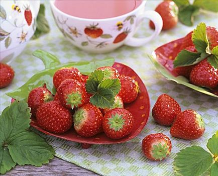 新鲜,草莓,草莓味食品,茶