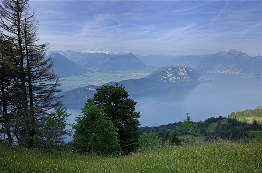 小路,湖,瑞士