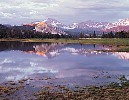 加利福尼亚,内华达山脉,优胜美地国家公园,圆顶,反射,河,草地,大幅,尺寸