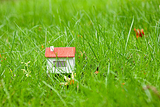 草地上的房屋模型