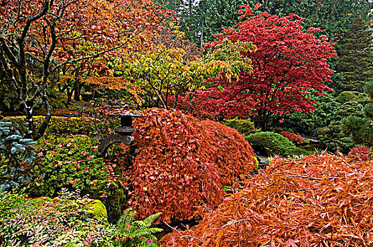 日式庭园,宝翠花园,维多利亚,温哥华岛,不列颠哥伦比亚省,加拿大