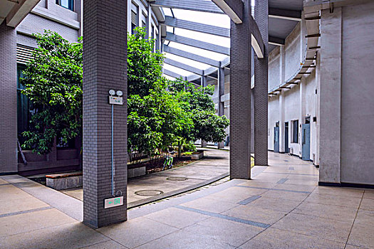 中南大学新校区