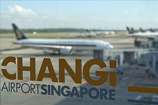 乘客,飞机,新加坡,航线,航站楼,国际机场,印度尼西亚,东南亚