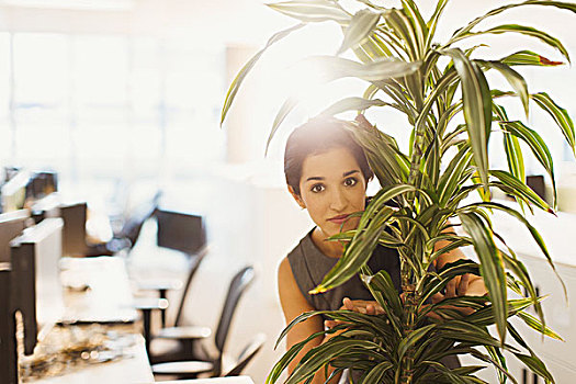 头像,职业女性,隐藏,后面,植物,办公室