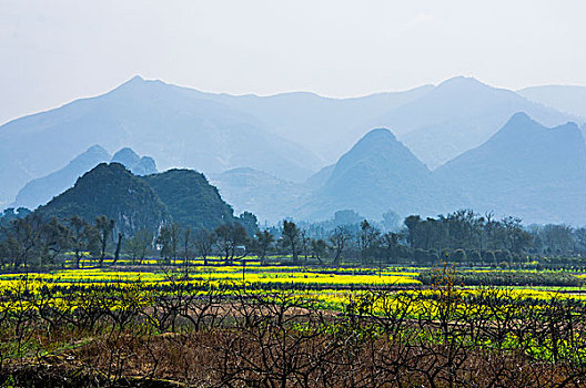 田园春色