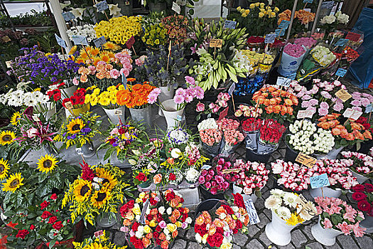 德国,巴伐利亚,慕尼黑,维克托阿灵广场集市,花,货摊,展示