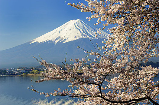 山,富士山,湖,日本