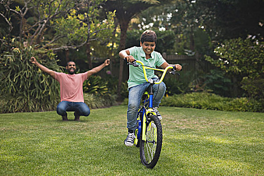 父亲,欢呼,男孩,骑自行车,公园