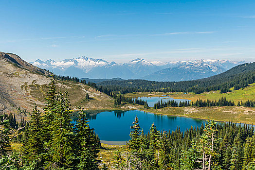 小,湖,正面,雪冠,山,省立公园,不列颠哥伦比亚省,加拿大,北美