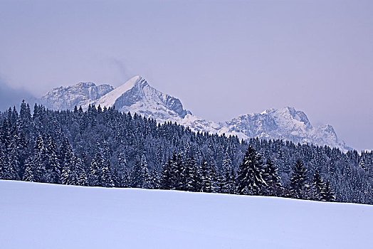冬天,山,加米施帕藤基兴,巴伐利亚,德国