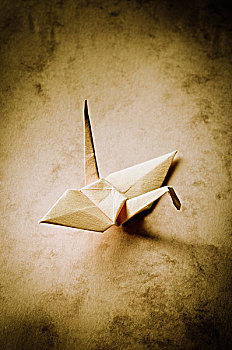 折纸,鸟