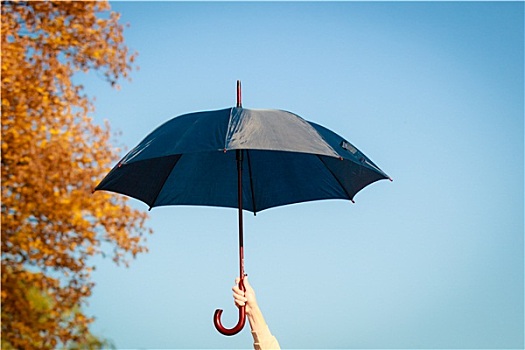 伞,拿着,蓝色背景,背景