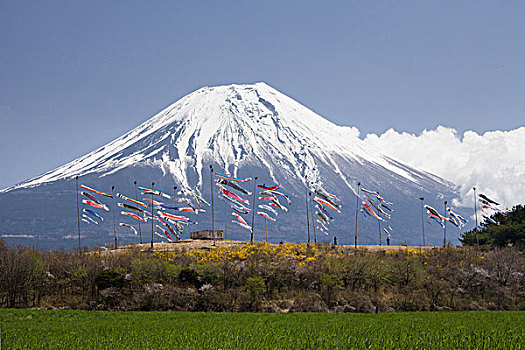 日本,孩子,节日,鲤帜,富士山