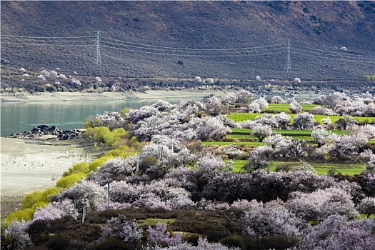 雅鲁藏布江大峡谷风光