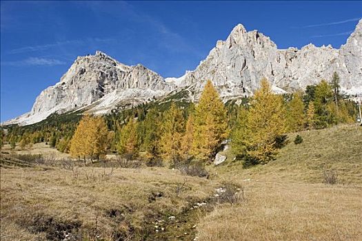秋天,多罗迈特,阿尔卑斯山,意大利