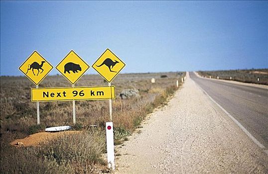路标,西澳大利亚,公路,交通标志