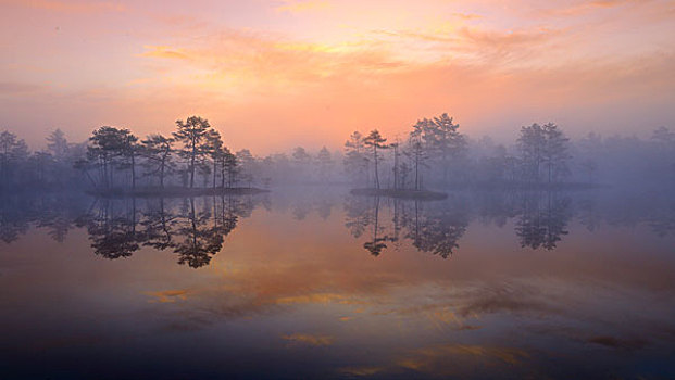 早晨,黎明,沼泽,达拉那,瑞典,斯堪的纳维亚,欧洲